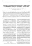 Artículo completo(PDF — 213 Kb)