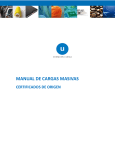 MANUAL DE CARGAS MASIVAS