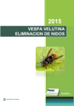 VESPA VELUTINA ELIMINACION DE NIDOS
