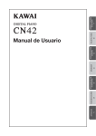 Manual de Usuario