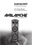 avalanche