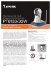 PT8133/33W
