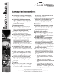 espu&eacute;s esastre