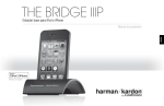 THE BRIDGE IIIP