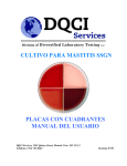 &yuml;&thorn; - DQCI Home Page