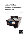 Mura DVB-T BMW TV Tuner - User Manual
