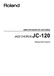 JAZZ CHORUS JC-120