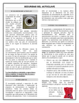 SEGURIDAD DEL AUTOCLAVE