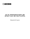 Manual del Usuario