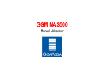 GGM NAS500
