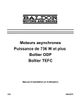 Moteurs asynchrones Puissance de 736 W et plus