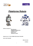 Rapport final - Ahcene MEZINE