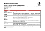 La fiche pédagogique du stage de 2013, pour info (fichier PDF).