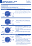 Chronographe officiel Le Talisman