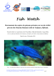 Fish Watch - Objectif Atlantide