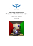 BE IN201 : Rapport Final Programme de lancer de rayon en java