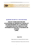 RAPPORT DE REVUE A MI-PARCOURS