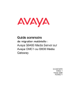 Guide sommaire de migration matérielle : Avaya