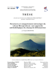Structures et comportement mécanique du volcan Merapi : une