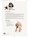 HIL02347 P&K Puppy Clicker FR