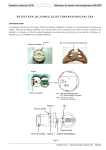 Syst&egrave;me d`alarme LS-30 D&eacute;tecteur de fum&eacute;e et de temp&eacute;rature SM