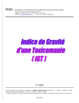 de gravit&eacute; d`une toxicomanie (IGT)