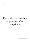 Projet de construction et parcours d`un labyrinthe