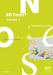 BD Forêt® Version 1