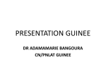 PRESENTATION GUINEE