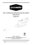 80v cordless brushless blower 2400102 gbl80300