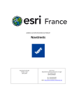 Navstreets - Esri France