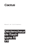 Déclencheur de flash sans fil V6