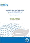 Briquettes_manual_fr