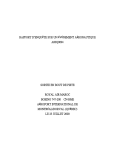 Consulter le document en PDF - Bureau de la s&eacute;curit&eacute; des