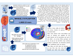 MANUEL D`UTILISATION LUNDI 23 mars