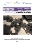 Protocole pédiculose (version 2014)