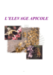 L`ELEVAGE APICOLE