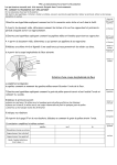 Schéma d`une coupe longitudinale de fleur - E