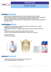 Actimove&reg; Costa - bei BSN medical