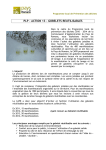 PLP &ndash; ACTION 13 - GOBELETS REUTILISABLES