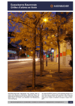 Gusseiserne Baumroste Grilles d`arbres en fonte