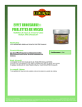 MICAS DINOSAURE