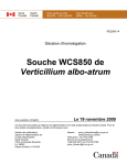 Souche WCS850 de Verticillium albo