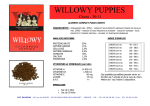 WILLOWY PUPPIES