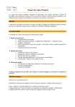 T&eacute;l&eacute;charger nos programmes d`audits