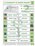 le diagnostic du bassin versant - Conseil de Bassin de la rivière