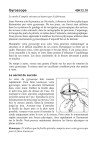 Guide d`instruction (86 ko, PDF)