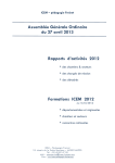 rapport d`activité icem 2012