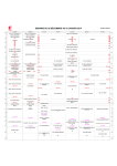 SEMAINE DU 28 DÉCEMBRE AU 03 JANVIER 2014