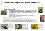 Traversees amphibiens mode emploi